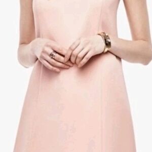 Ann Taylor Blush Pink Mini Dress